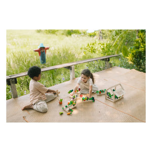 Plan Toys - Ahşap sera