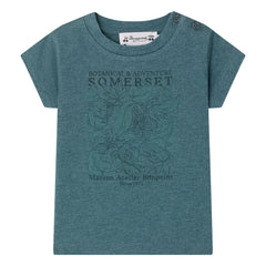 Bonpoint - Tom T-shirt Organic Cotton | Peacock Blue