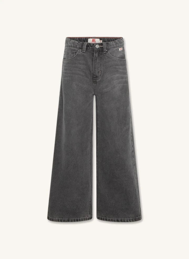 AO76 - Jean Zina Blake | Denim gris