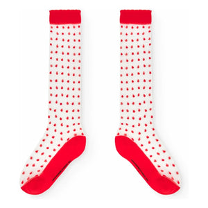Die Tierbeobachtungsstation – Rote Socken