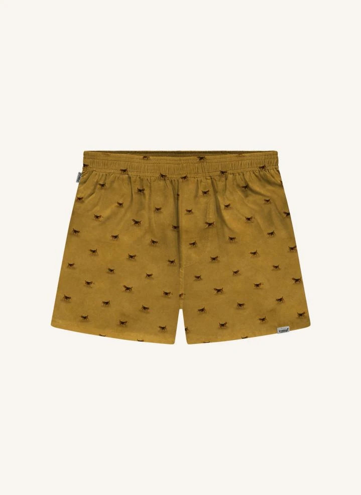 Pockies - Beagle Boxer | Mostaza