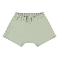 Risu Risu - Boxer Nano Coton Bio | Badem yeşili