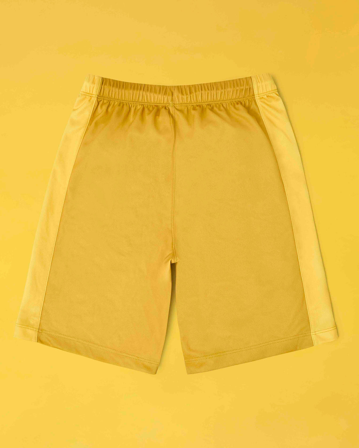 Roarsome - Löwenjunge - Reitshorts