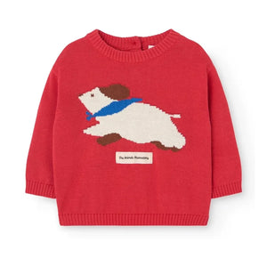 The Animals Observatory - Sudadera Bobcat | Rojo