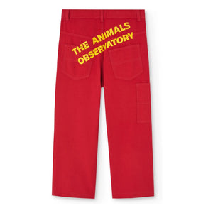 The Animals Observatory - Condor-Hose | Rot