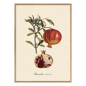 The Dybdahl Co. - Sweet Fruity Grenadier Poster