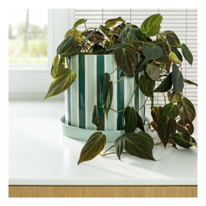 &Klevering - Clash Stripe saksı | Yeşil