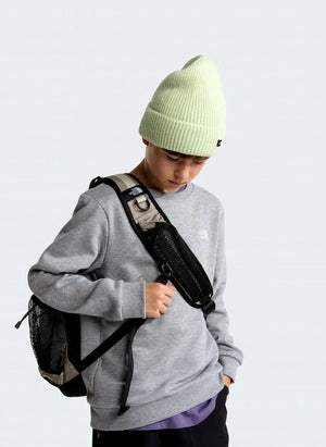 The North Face - Simple Done Sweatshirt | Grau meliert