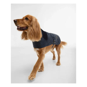 Barbour - Köpekler için kapitone kaban | Lacivert