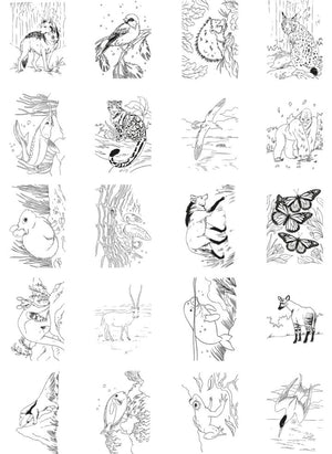 Kidywolf - Kidydraw Pad 8+ Çizim Tableti