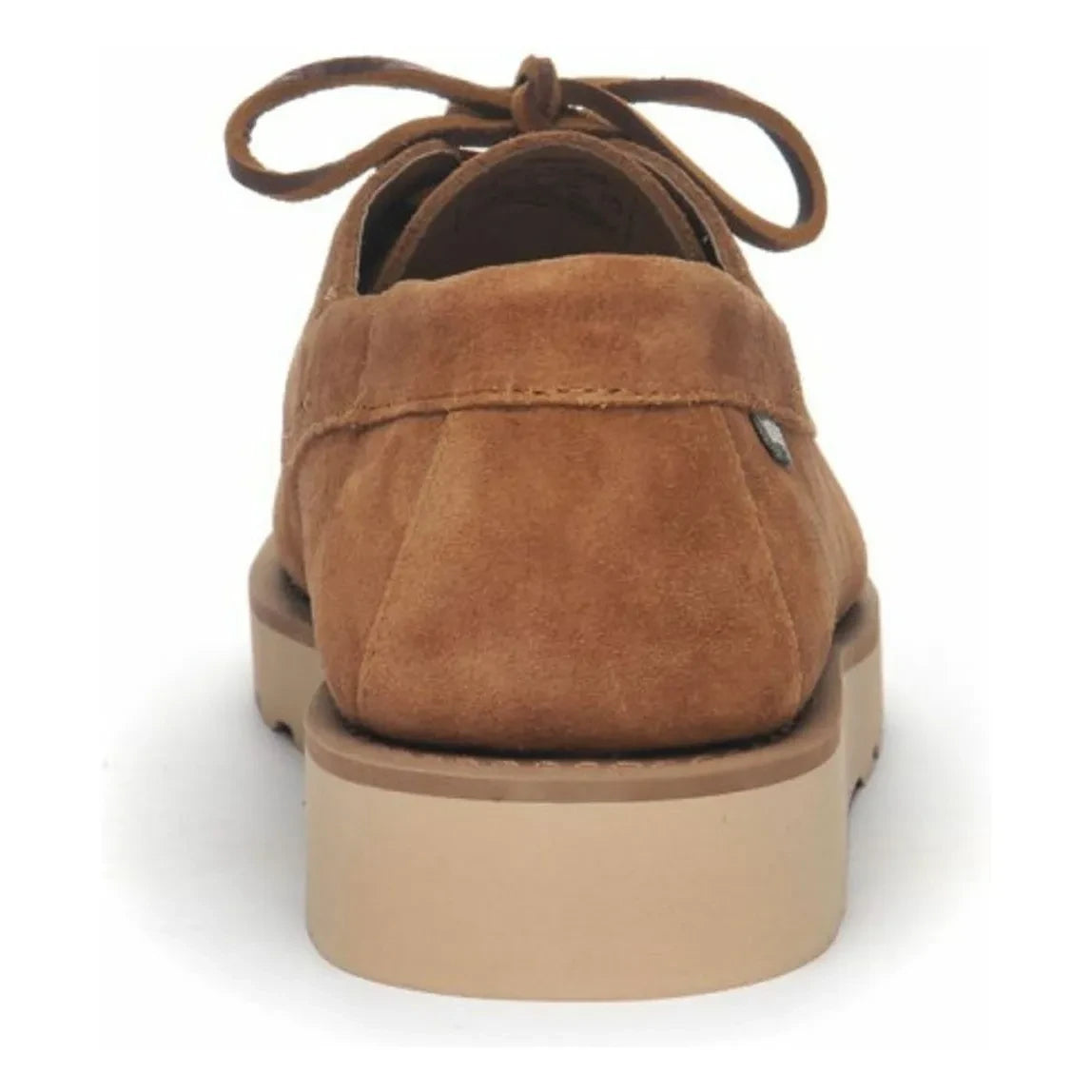 Sebago - Askookfield Oled Wildleder-Loafer | Mocha