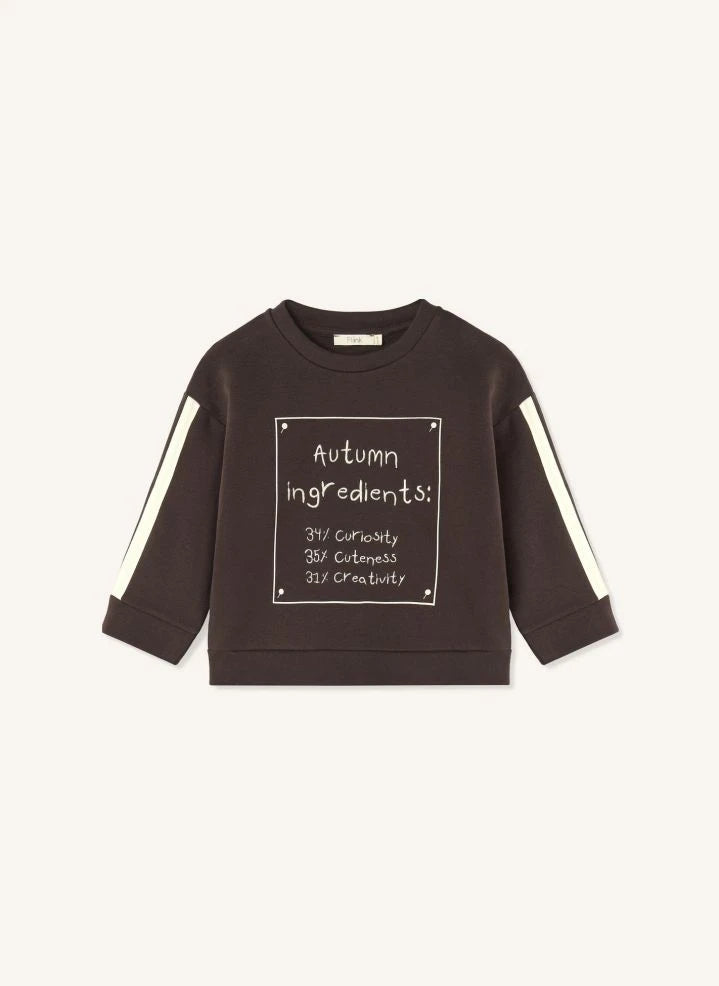 Fliink - Alvin Sonbahar Organik Pamuklu Sweatshirt | Kahverengi