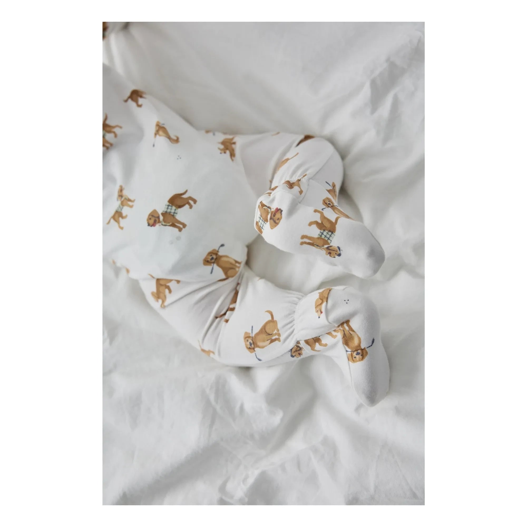 Petit Lem - Organic cotton and Modal pajamas, with dog paw details | White