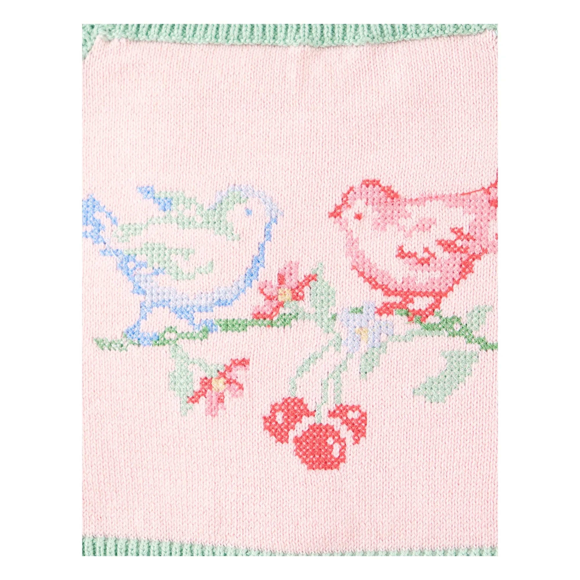 Gingersnaps - Soluk Pembe | Gül Nakışlı Tül Crop Top