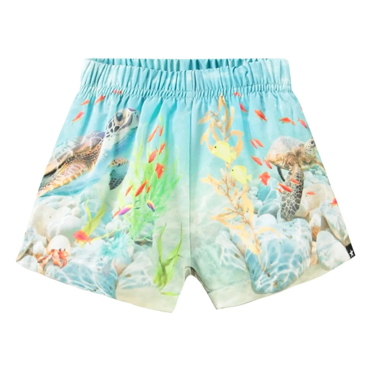 Molo - Newton Happy Ocean - Bañador de natación de fibra reciclada | Azul claro