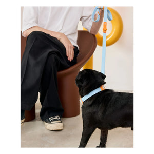 Approved by Fritz - Adjustable Dog Collar | Light Blue