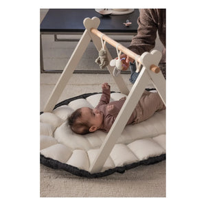 Sebra - 3-in-1 Babyschale | Kohlegrau