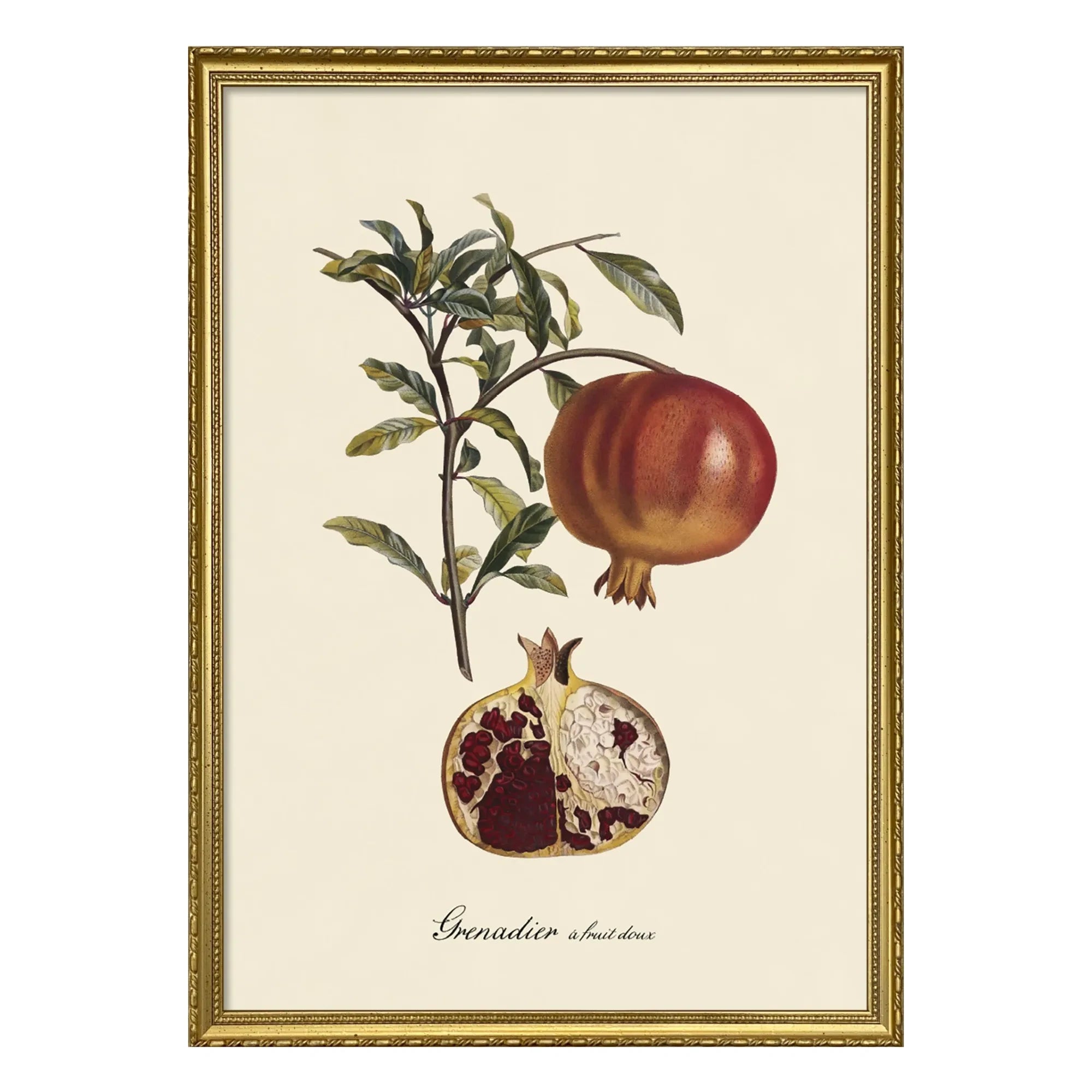 The Dybdahl Co. - Sweet Fruity Grenadier Poster