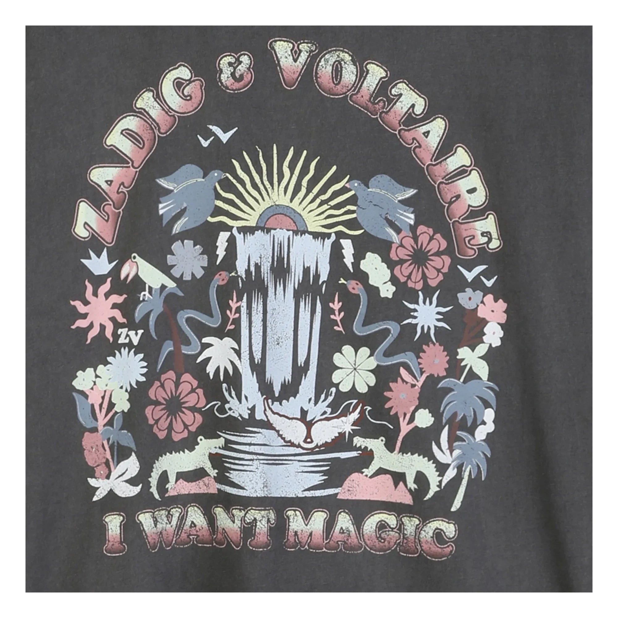 Zadig & Voltaire - I Want Magic Oversize Tişört | Koyu Gri