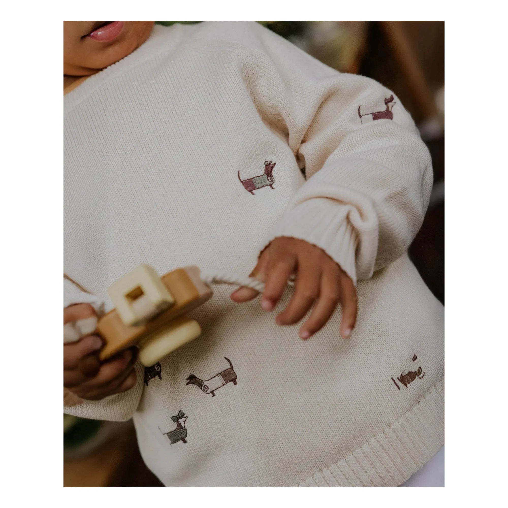 Fliink - Mahdi Dogs Bio-Baumwollpullover | Ecru