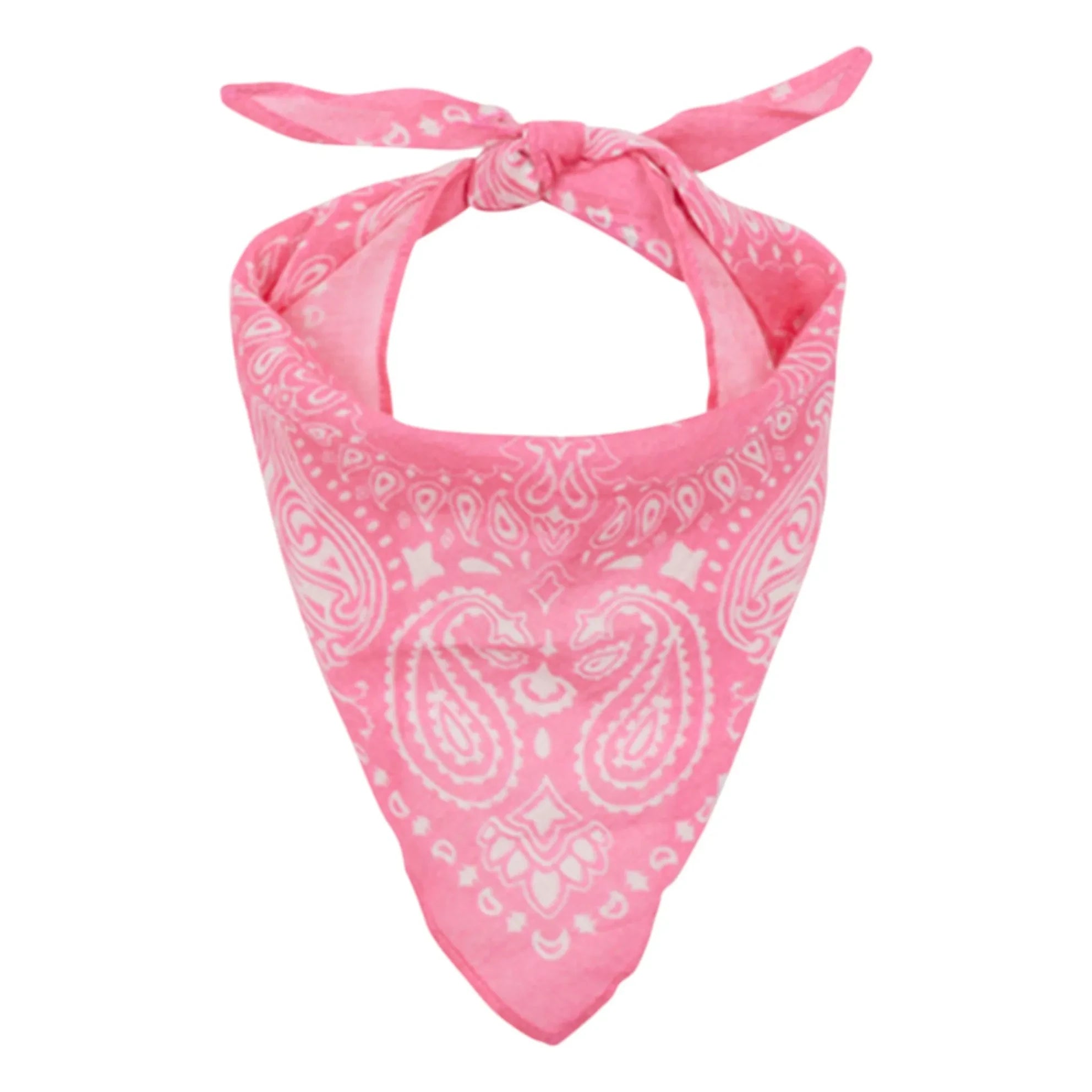 Arsène and Les Pipelettes - Pembe Veil Bandana
