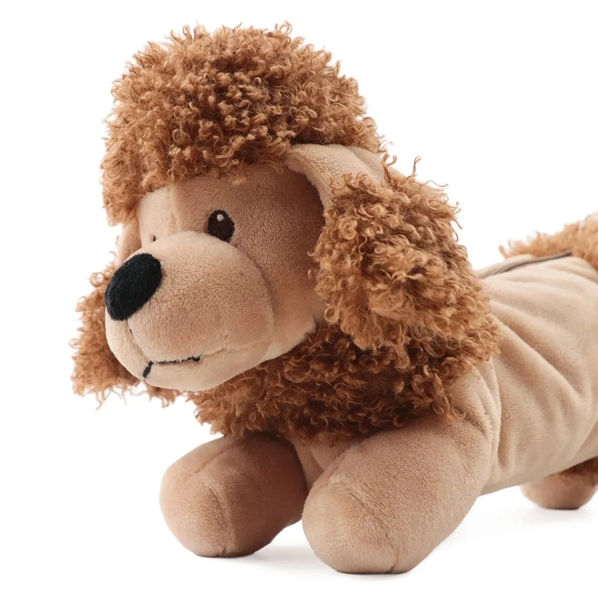Gingersnaps - Estuche de lápices de caniche Teddy | Beige