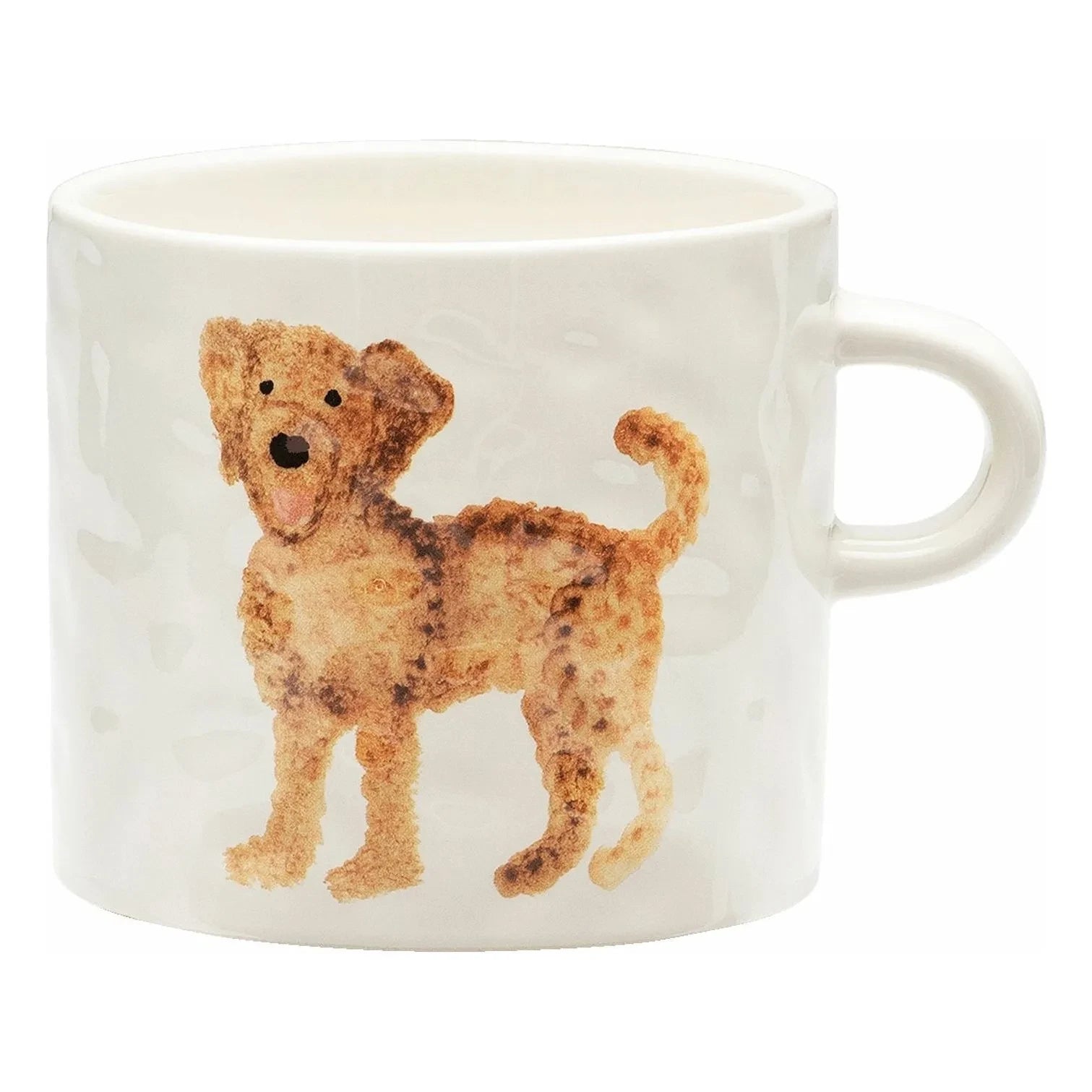 Anna + Nina - Labradoodle kupa