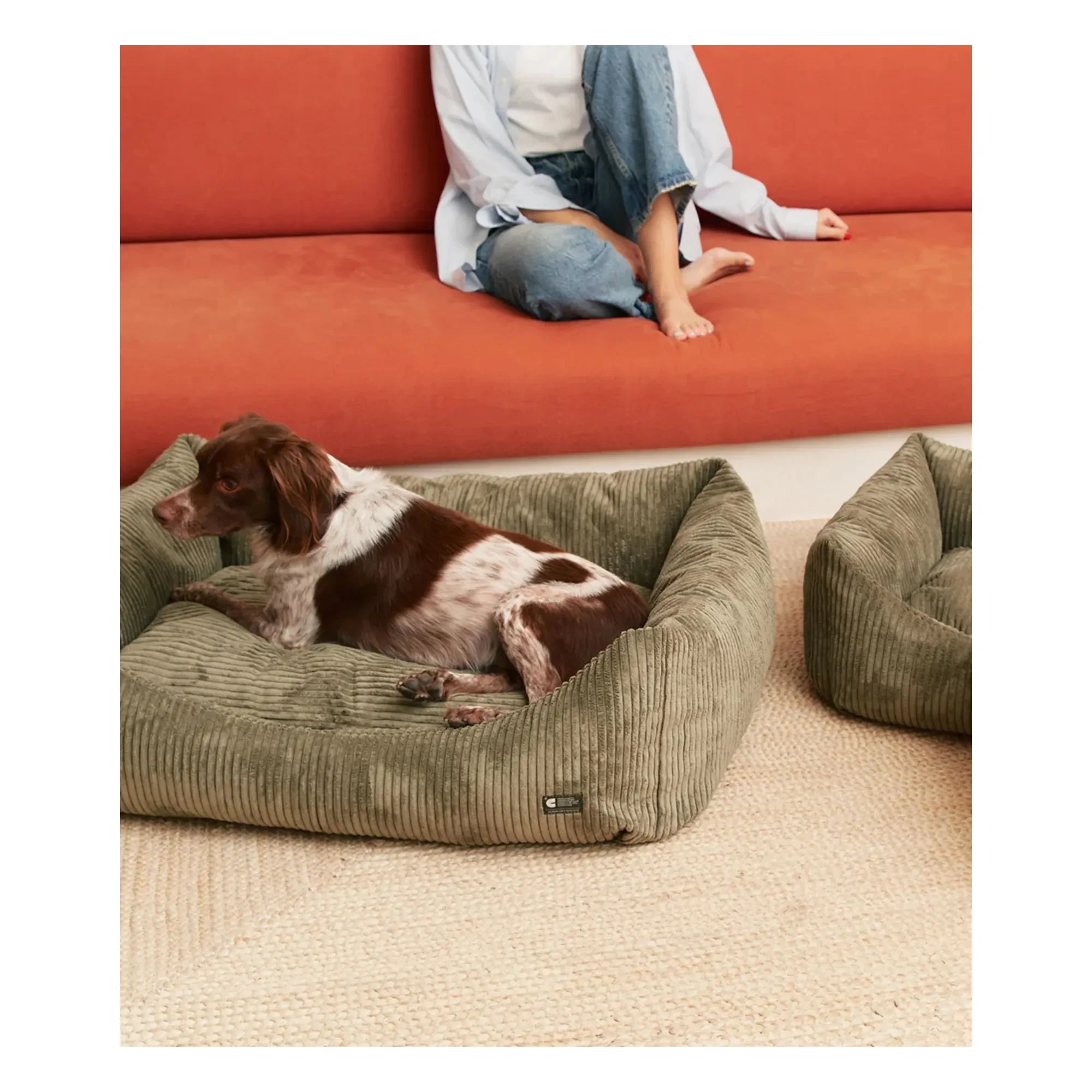 Cafide - Snozy Velvet Dog Bed | Green