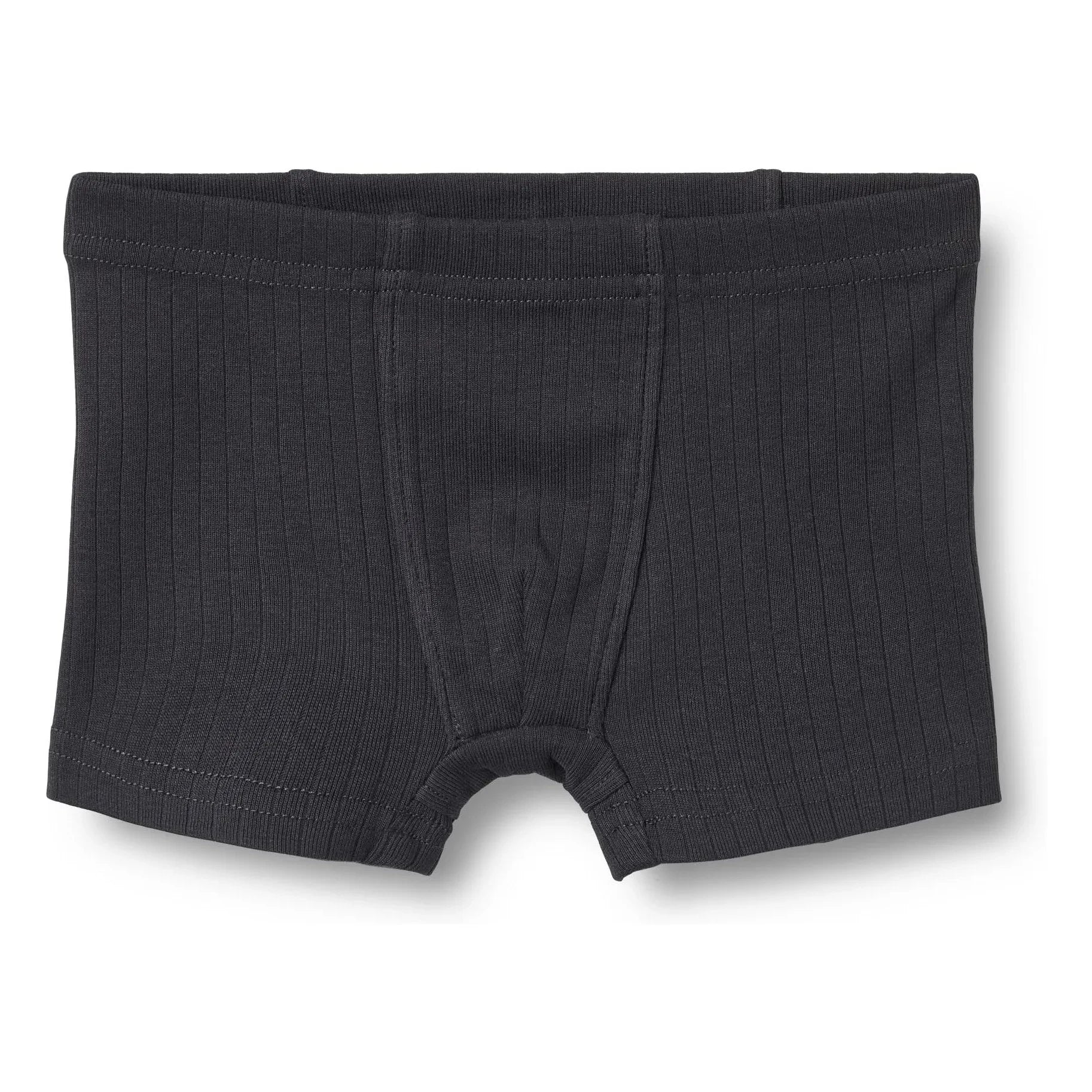 Wheat - 2’li Louis Fitilli Çizgili Organik Pamuk Boxer Külot | Siyah