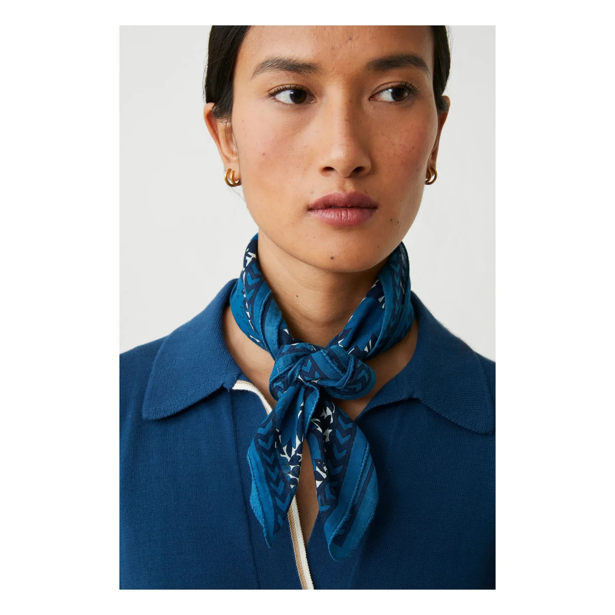 Moismont - Ajmer Shawl N°791 Cotton | Indigo