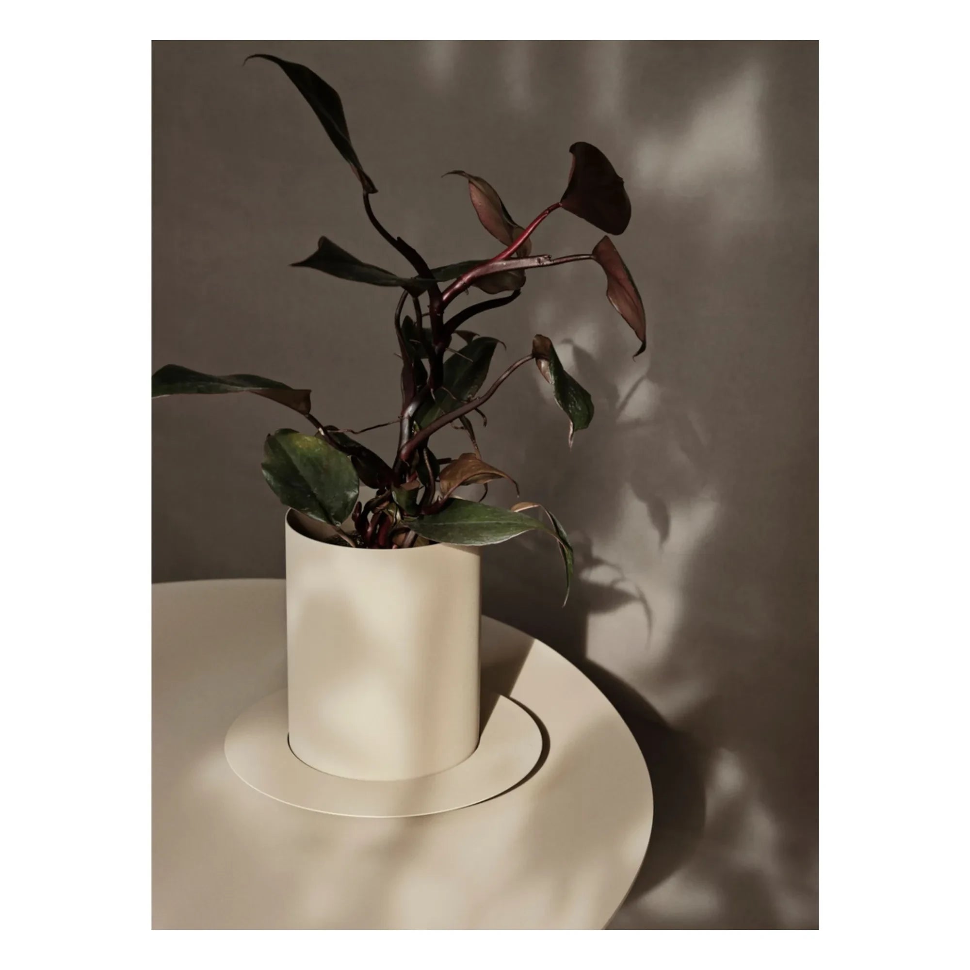Ferm Living - Auran Planter | Beige
