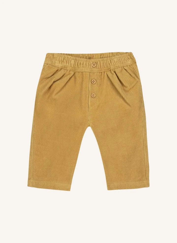 Bonton - Pantaloni di velluto a coste Popeye | Giallo