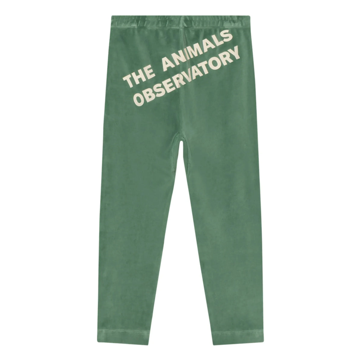 The Animals Observatory - Bukalemun Samt-Leggings | Grün