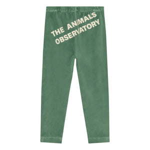 The Animals Observatory - Bukalemun Samt-Leggings | Grün