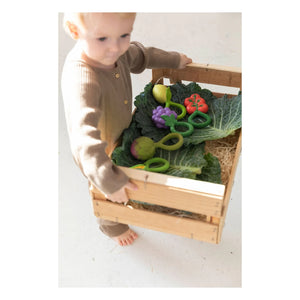 Oli & Carol - Enginar Çıngırağı