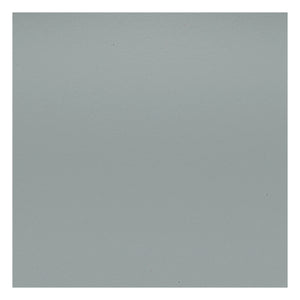 Vitra - DSR Plastic Chair - Chrome Frame - Charles & Ray Eames | Light Gray