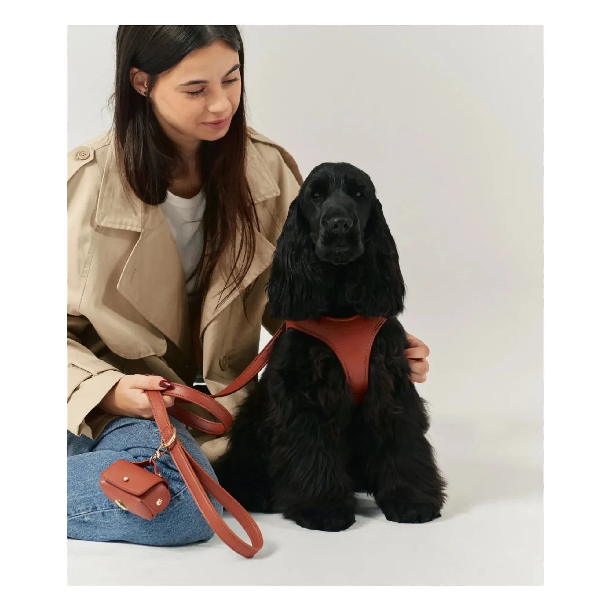 Cafide - Vegan Leather Dog Harness | Brown