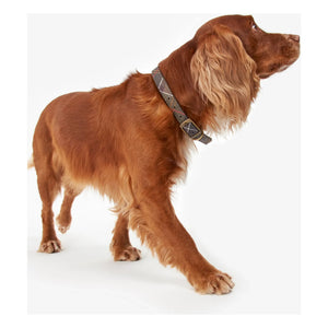 Barbour - Tartan Dog Collar | Dark Beige Brown