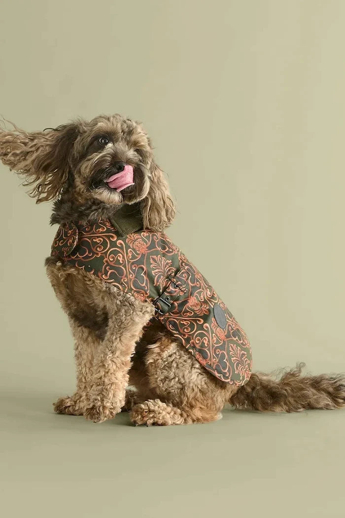 معطف للكلاب Barbour x Farm Rio