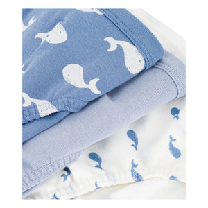 Petit Bateau - Pack de 3 braguitas de algodón orgánico con estampado de ballenas | Azul