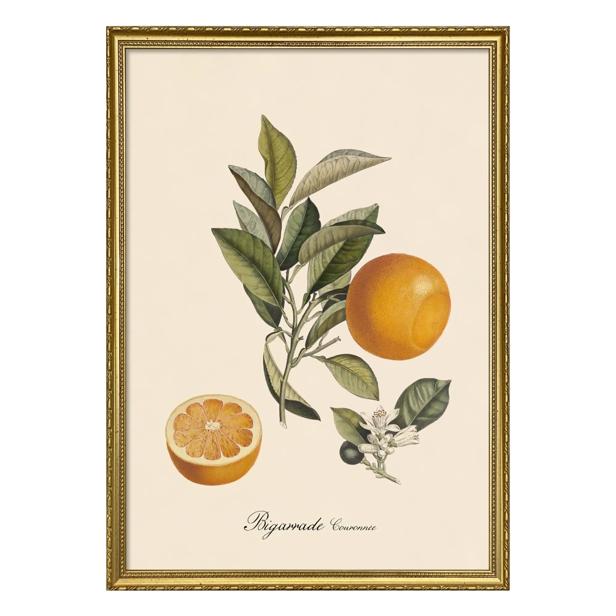 The Dybdahl Co. - Taçlı Bigarrade afiş