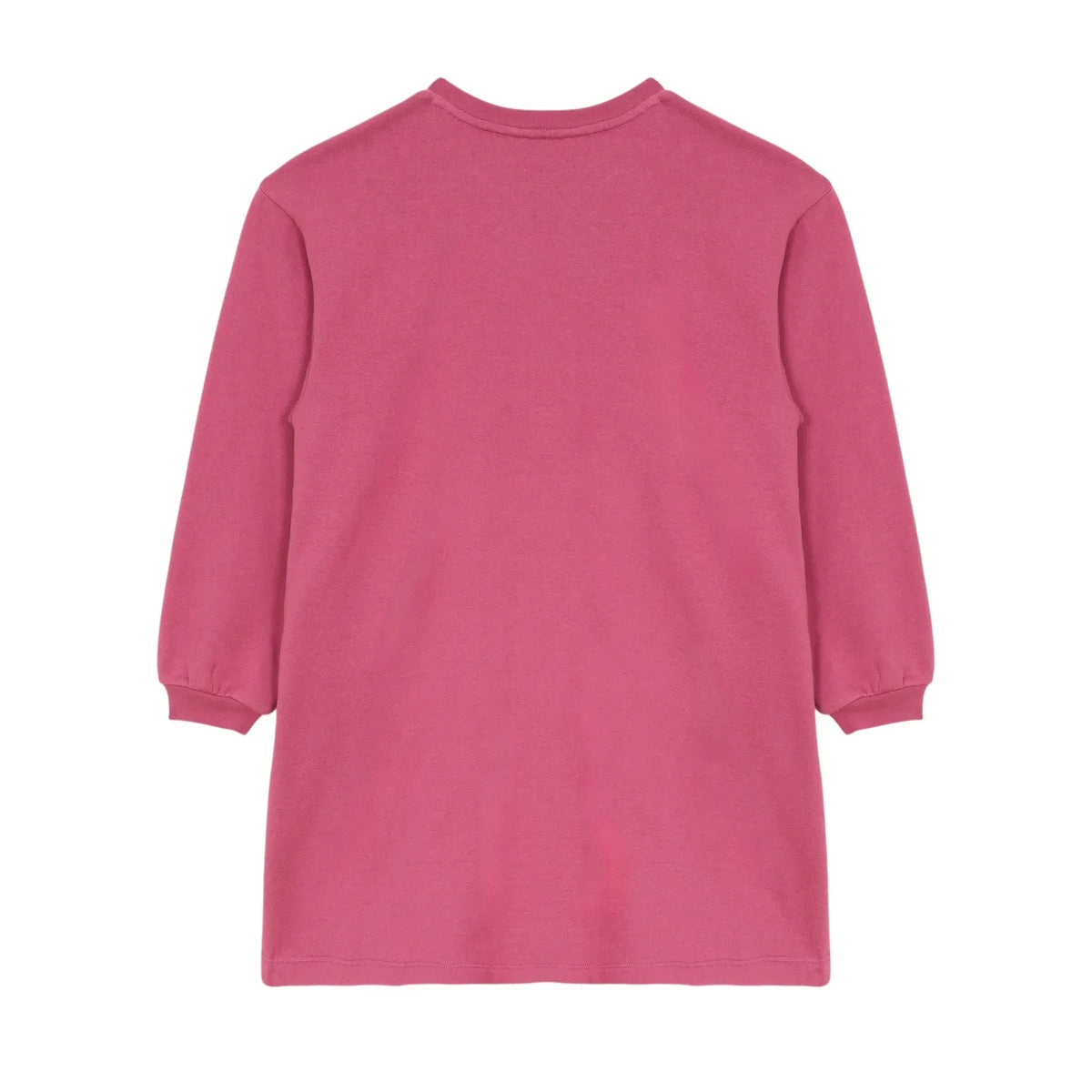 Hundred Pieces - Briona Birds Elbise | Toz Pembe