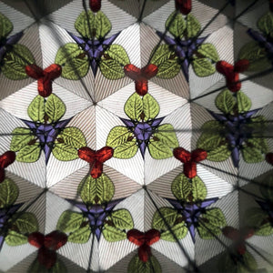 Legami - Tek Boynuzlu At Kaleidoscope - Kaleidoscope