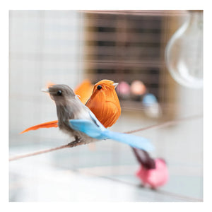 Mathieu Challières - Small Bird Cage Pendant Lamp