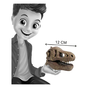 Buki - Archäologie-Set - Museums-Dino-Schädel