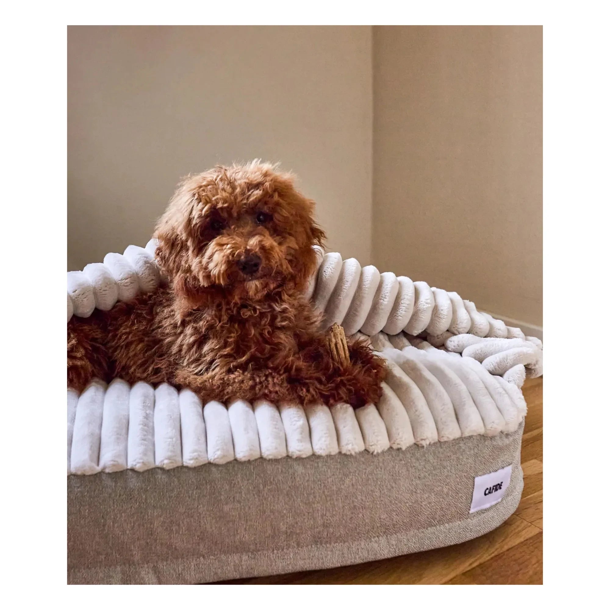 Cafide - Maso Hundebett | Beige