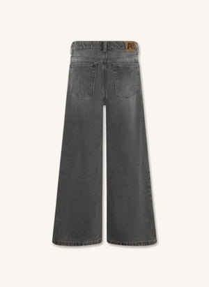 AO76 - Jean Zina Blake | Denim gri