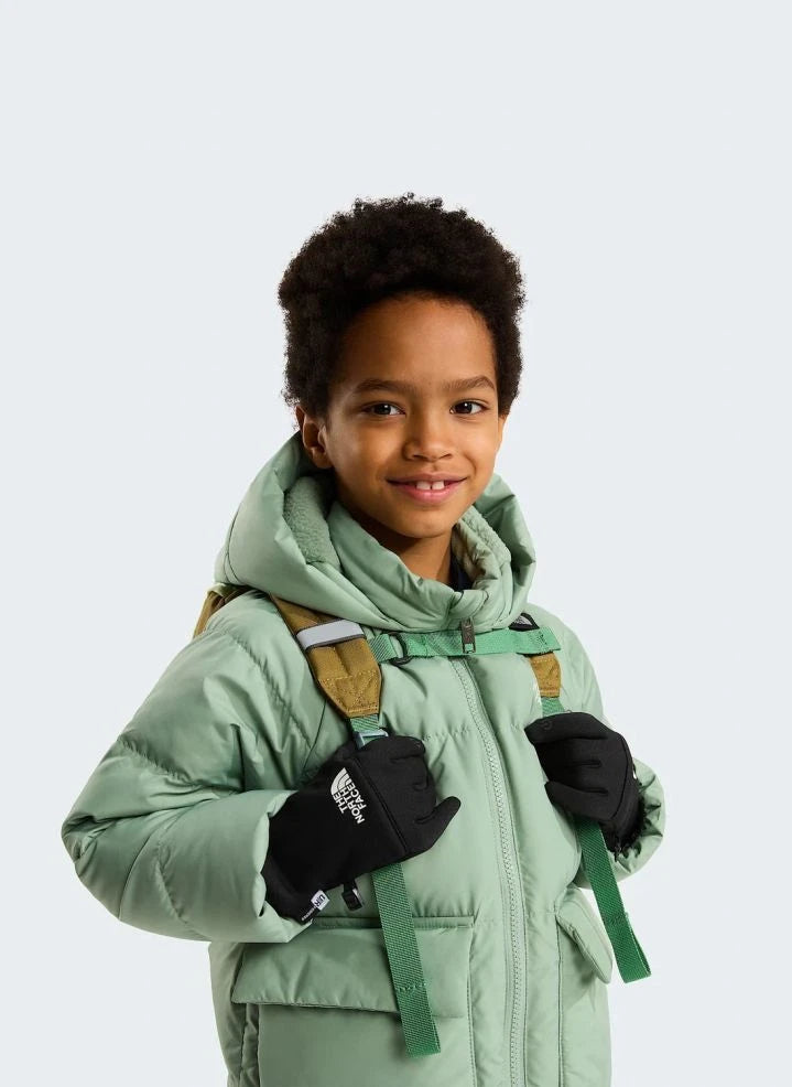 The North Face - North Down Ceket | Badem Yeşili