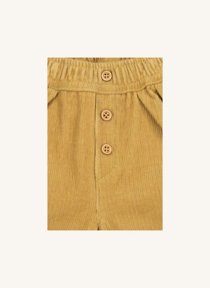 Bonton - Pantaloni di velluto a coste Popeye | Giallo