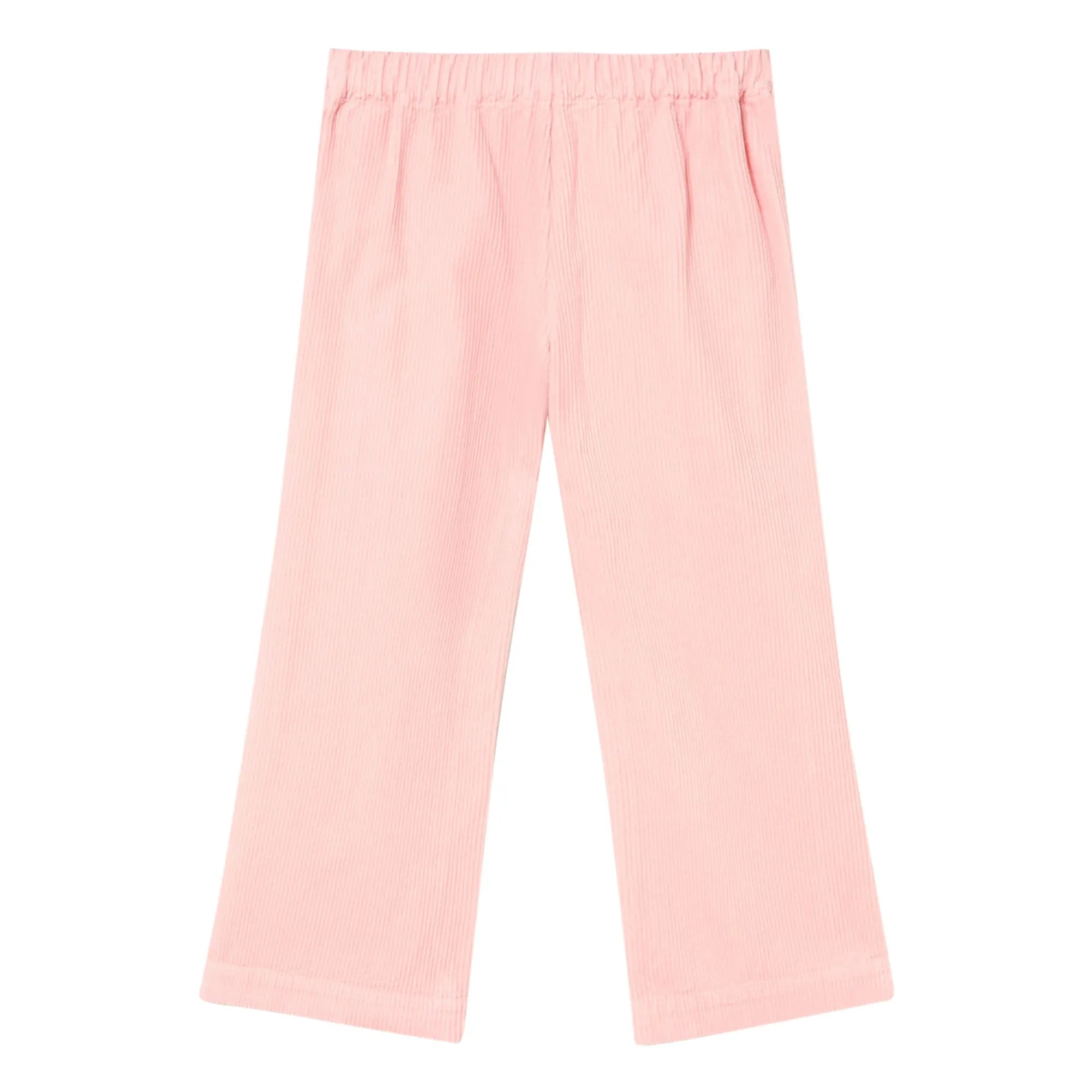 The Animals Observatory - Kirpi Samthose | Rosa